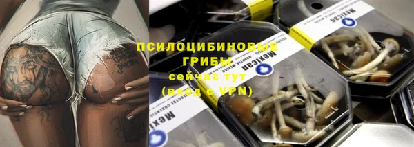 Альфа ПВП Чегем
