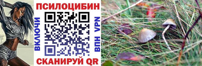 Купить закладки  Менделеевск  Псилоцибиновые грибы ЛСД 